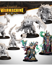 Steamforged Games LTD - STE Warmachine - Orgoth Sea Raiders Command Starter - Cursebound