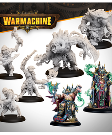 Steamforged Games LTD - STE Orgoth Sea Raiders Command Starter - Cursebound