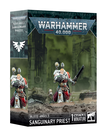 Games Workshop - GAW Warhammer 40K - Blood Angels - Sanguinary Priest