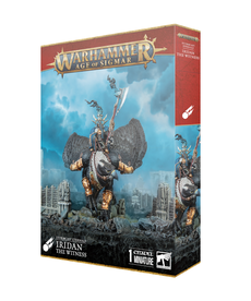 Games Workshop - GAW Stormcast Eternals - Iridan the Witness