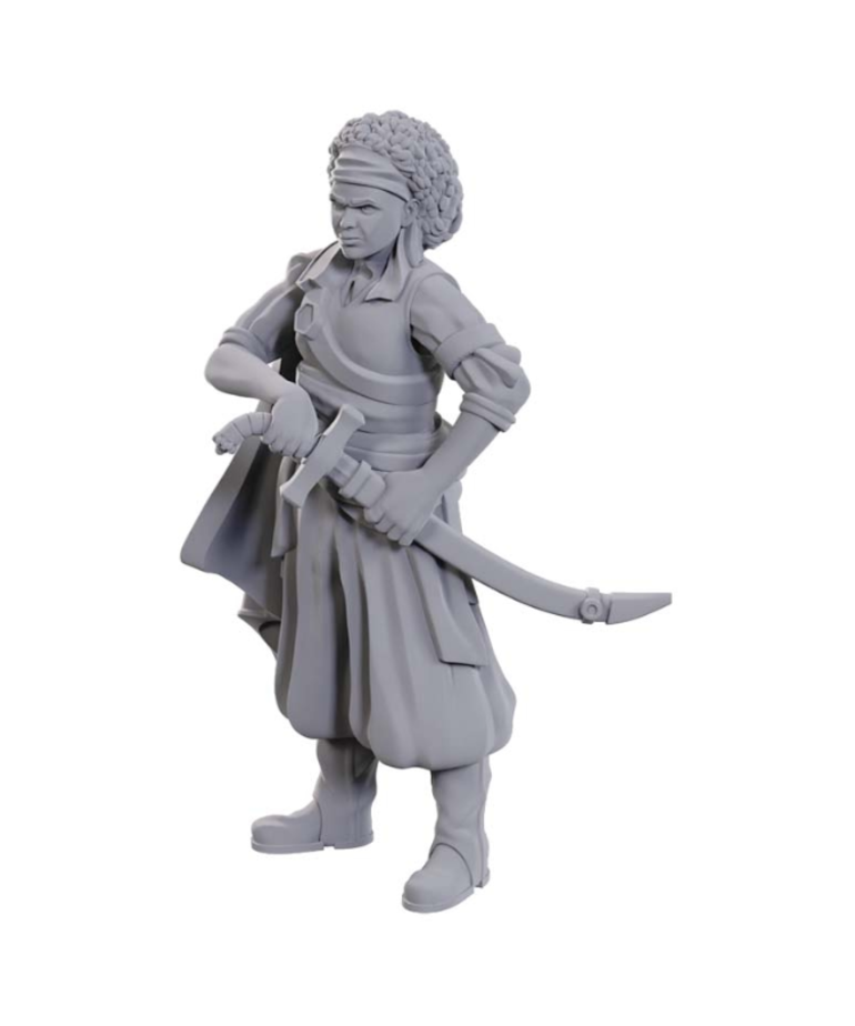 WizKids - WZK D&D - Nolzur's Marvelous Unpainted Miniatures - Wave 23 - Ansalon Human Rogue