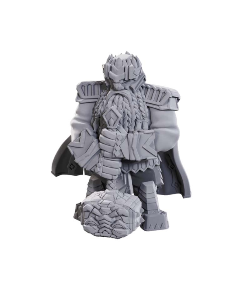 WizKids - WZK Pathfinder - Deep Cuts Unpainted Miniatures - Wave 23 - Male Dwarf Champion (High Level)