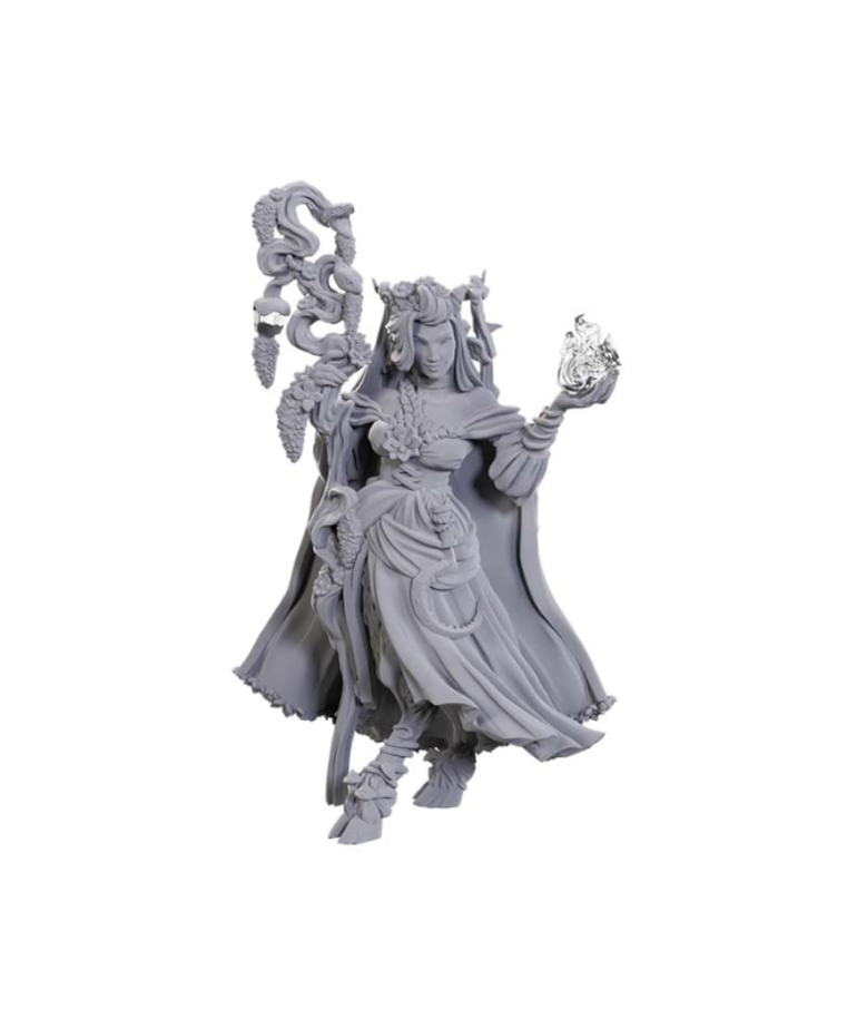 WizKids - WZK D&D - Critical Role Unpainted Miniatures - Wave 23 - Fearne Calloway & Mister