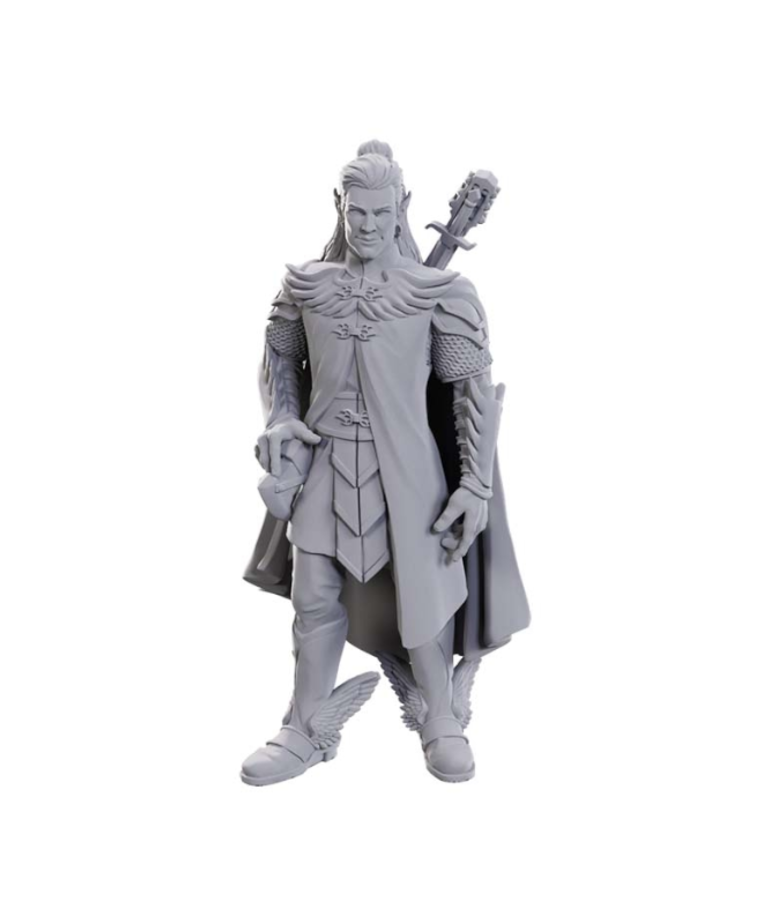 WizKids - WZK D&D - Critical Role Unpainted Miniatures - Wave 23 - Dorian Storm