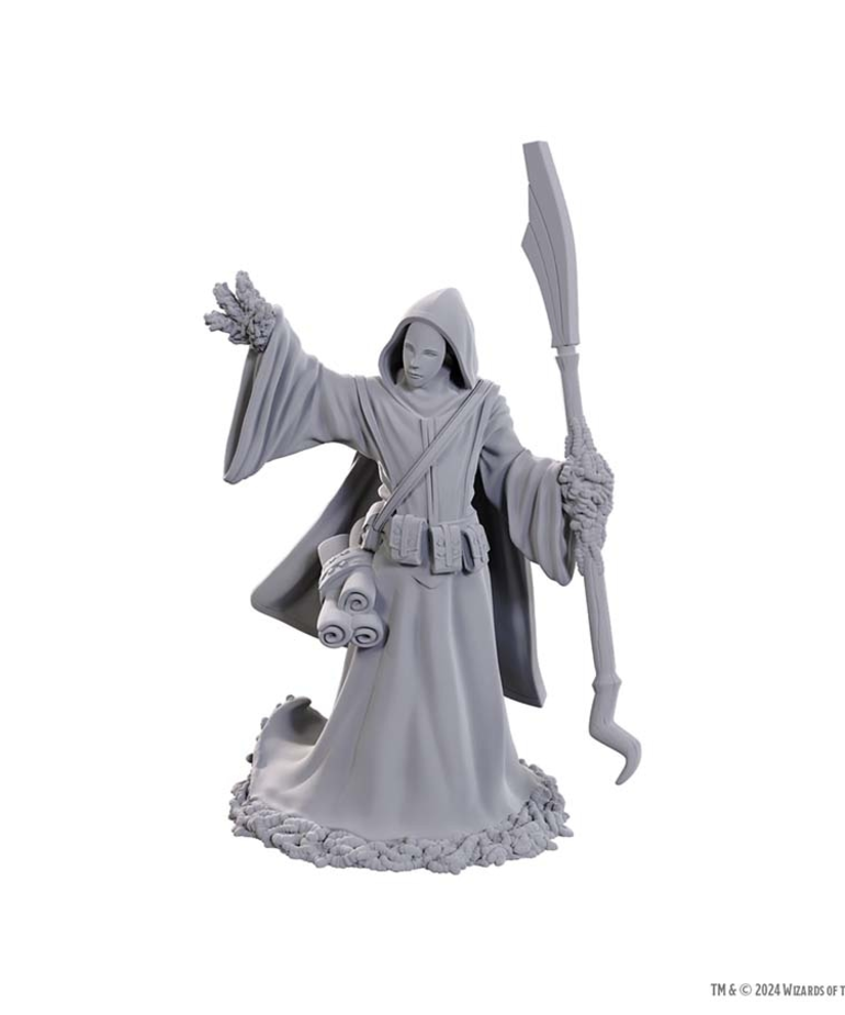 WizKids - WZK D&D - Nolzur's Marvelous Unpainted Miniatures - Wave 25 - Star Spawn Larva Mage
