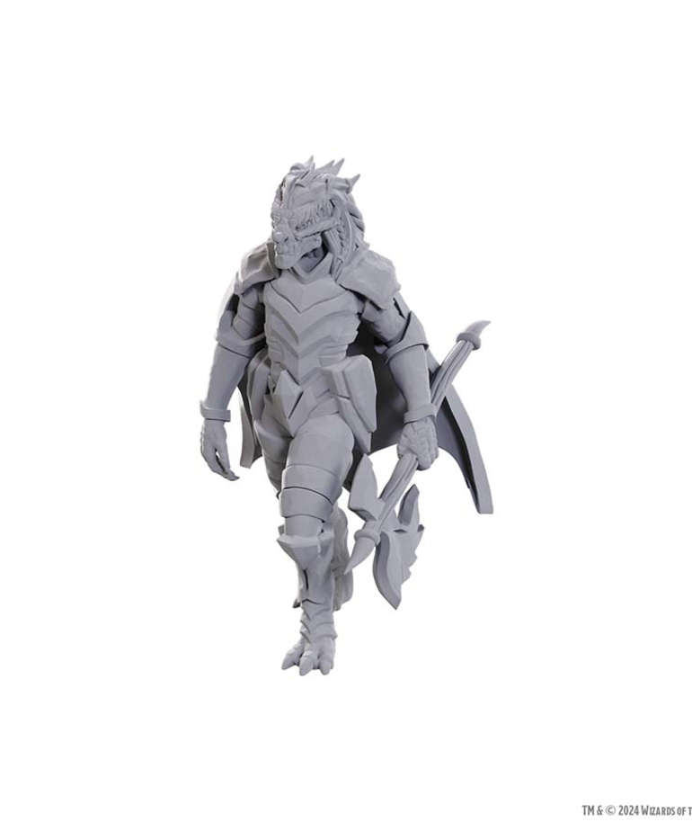WizKids - WZK D&D - Nolzur's Marvelous Unpainted Miniatures - Wave 25 - Dragonborn of Tiamat