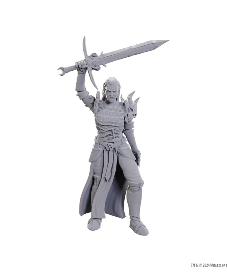 WizKids - WZK D&D - Nolzur's Marvelous Unpainted Miniatures - Wave 25 - Blackguard