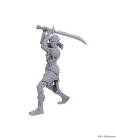 WizKids - WZK Special Edition Baldur's Gate 3 - Lae'zel & Shadowheart