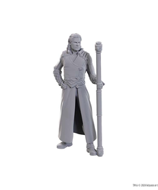 WizKids - WZK Special Edition Baldur's Gate 3 - Gale & Astarion