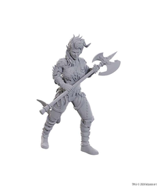 WizKids - WZK Special Edition Baldur's Gate 3 - Wyll & Karlach
