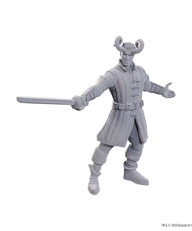 WizKids - WZK D&D - Nolzur's Marvelous Unpainted Miniatures - Special Edition Baldur's Gate 3 - Wyll & Karlach