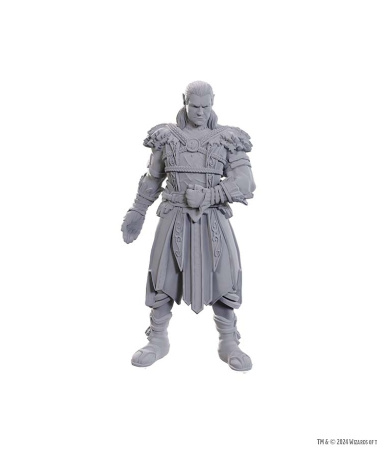 WizKids - WZK D&D - Nolzur's Marvelous Unpainted Miniatures - Special Edition Baldur's Gate 3 - Jaheira & Halsin