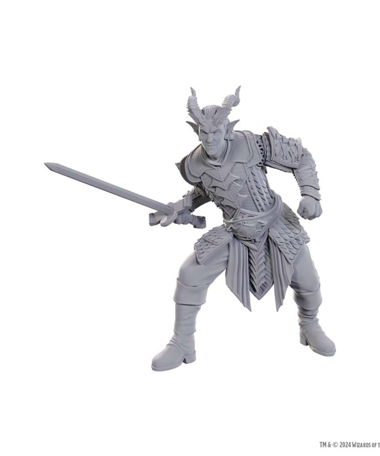 WizKids - WZK D&D - Nolzur's Marvelous Unpainted Miniatures - Special Edition Baldur's Gate 3 - Ulder Ravengard & Zevlor