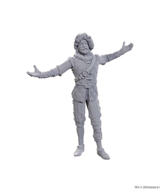 WizKids - WZK Special Edition Baldur's Gate 3 - Volo & Withers