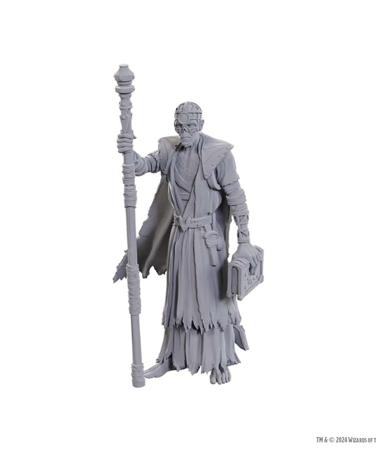 WizKids - WZK D&D - Nolzur's Marvelous Unpainted Miniatures - Special Edition Baldur's Gate 3 - Volo & Withers