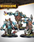 Steamforged Games LTD - STE PRESALE Warmachine - Southern Kriels Kithguard Command Starter 02/19/2026