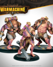 Steamforged Games LTD - STE PRESALE Warmachine - Crucible Guard Auxiliary Expansion 03/05/2026