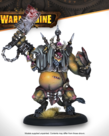 Steamforged Games LTD - STE Warmachine - Thornfall Alliance Command Starter