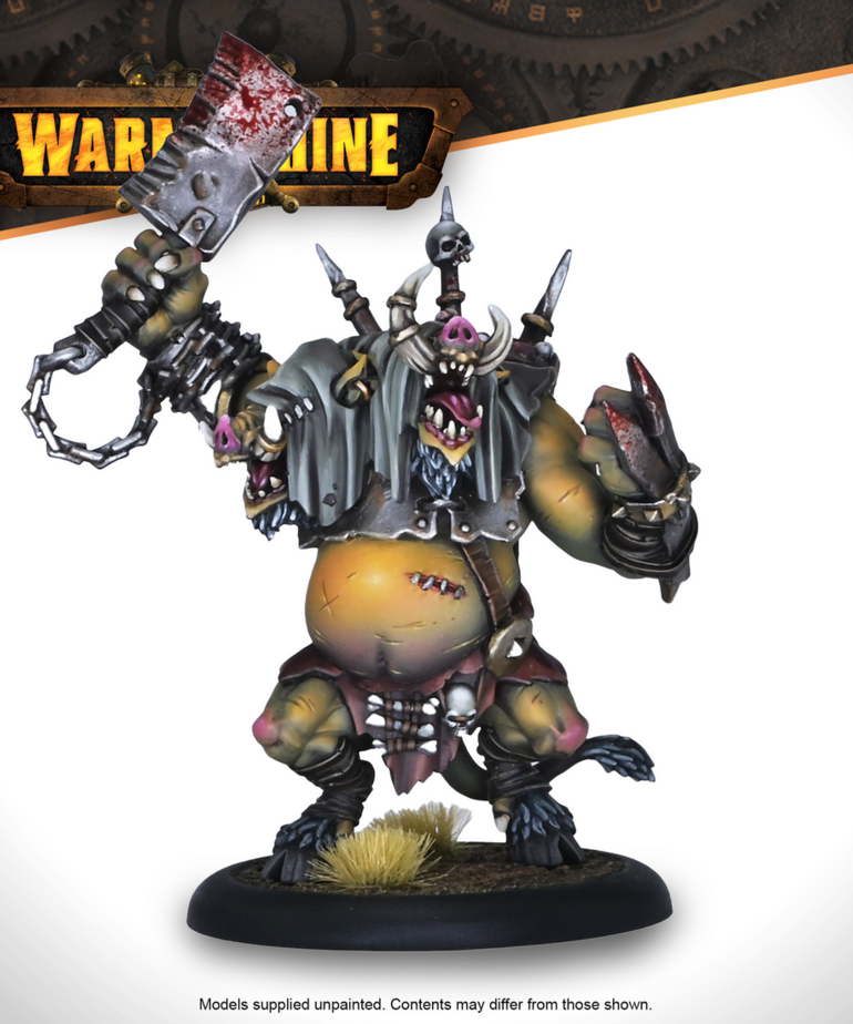 Steamforged Games LTD - STE Warmachine - Thornfall Alliance Command Starter