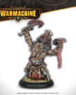 Steamforged Games LTD - STE Warmachine - Thornfall Alliance Command Starter