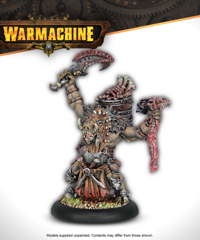 Steamforged Games LTD - STE Warmachine - Thornfall Alliance Command Starter