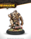 Steamforged Games LTD - STE Warmachine - Thornfall Alliance Command Starter