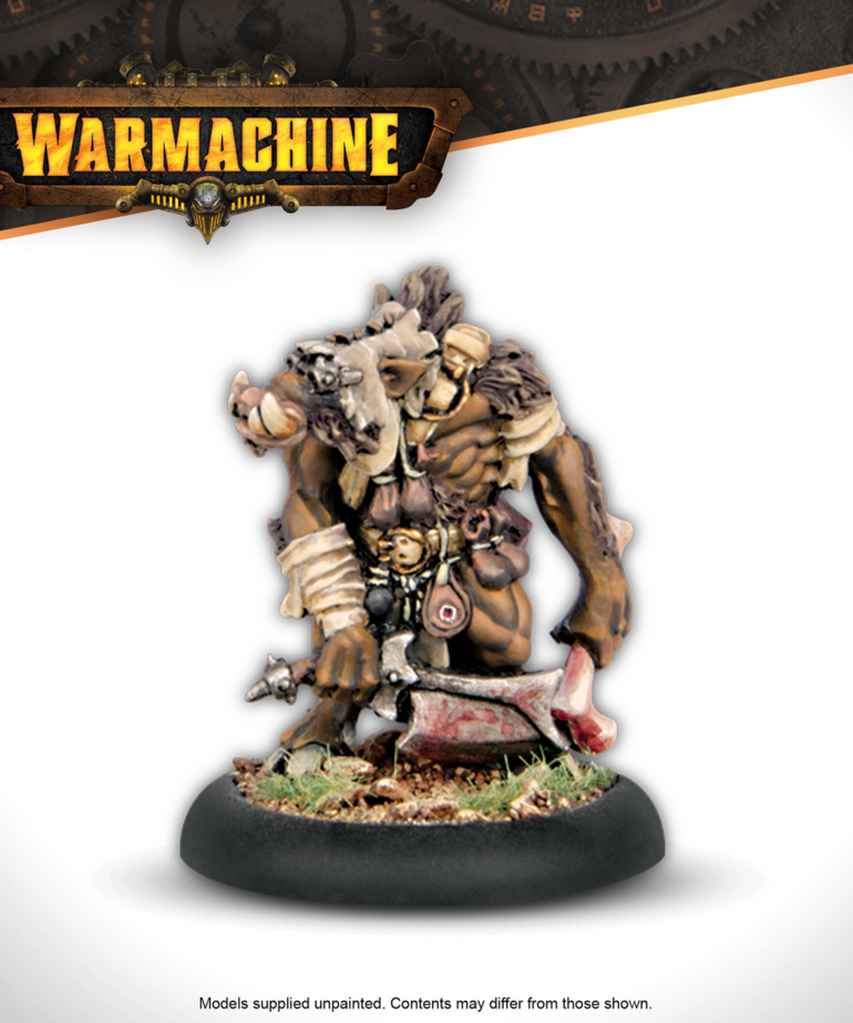 Steamforged Games LTD - STE PRESALE Warmachine - Thornfall Alliance Command Starter 03/17/2026