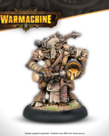 Steamforged Games LTD - STE PRESALE Warmachine - Thornfall Alliance Command Starter 03/17/2026