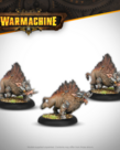Steamforged Games LTD - STE PRESALE Warmachine - Thornfall Alliance - Razor Boars 03/17/2026