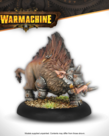 Steamforged Games LTD - STE Warmachine - Thornfall Alliance - Razor Boars