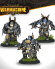 Steamforged Games LTD - STE Warmachine - Southern Kriels Kithguard - Auxiliary Expansion