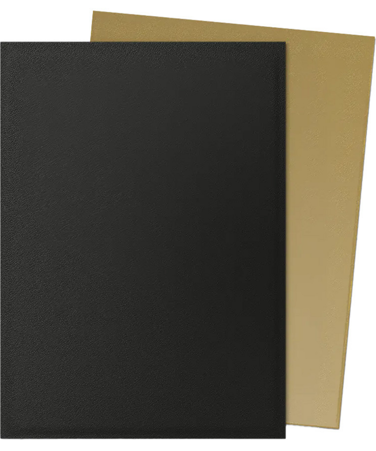 Arcane Tinmen - ATM Dragon Shield - Dual Matte Card Sleeves - Black & Gold (100)