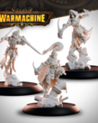 Steamforged Games LTD - STE PRESALE Warmachine - Menoth Covenant of the Flame - Heralds of Perdition 01/19/2027