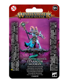 Games Workshop - GAW Disciples of Tzeentch - Tzaangor Shaman
