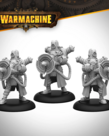 Steamforged Games LTD - STE Warmachine - Cygnar Storm Legion Command Starter
