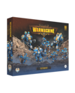 Steamforged Games LTD - STE PRESALE Warmachine - Cygnar Storm Legion Command Set - Full Throttle 11/17/2026