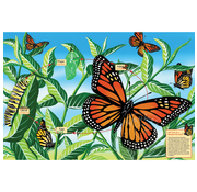 Cobble Hill Puzzles Cobble Hill Life Cycle of a Monarch Butterfly Floor Puzzle 48pcs