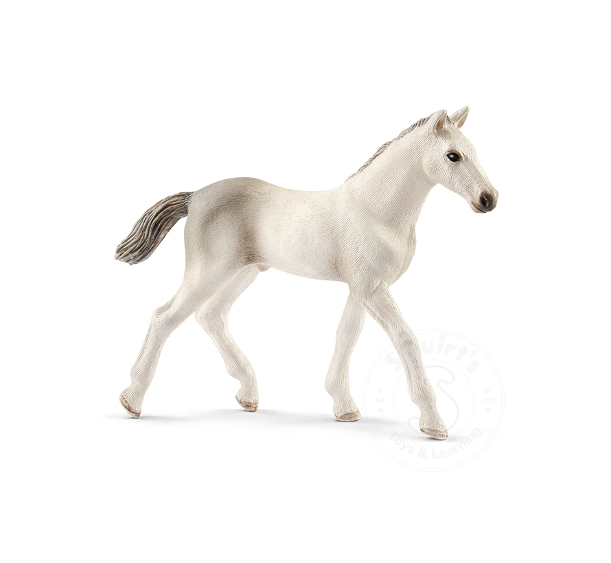 Schleich Holsteiner Foal - Retired