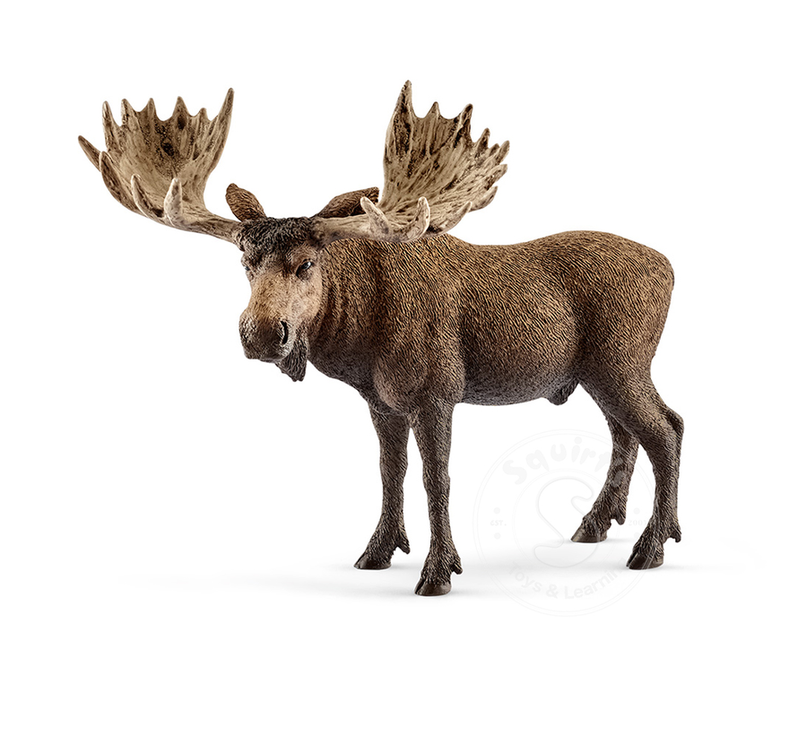 Schleich Moose Bull