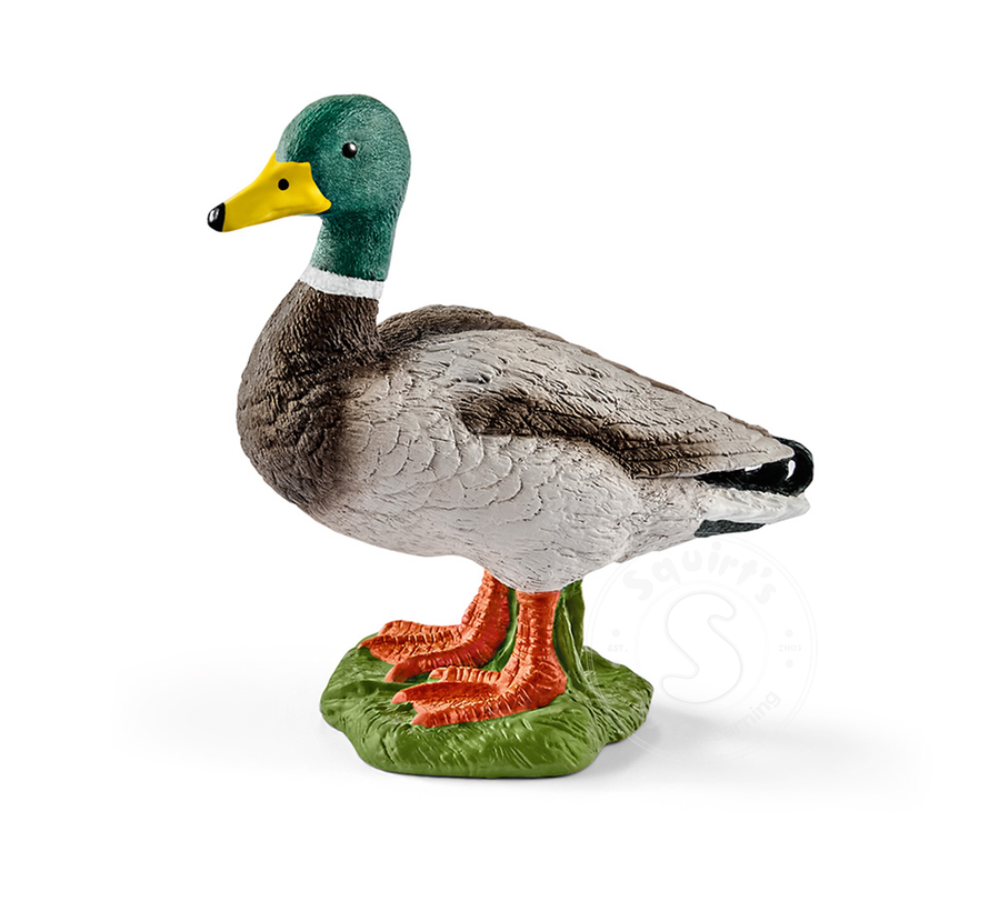 Schleich Drake