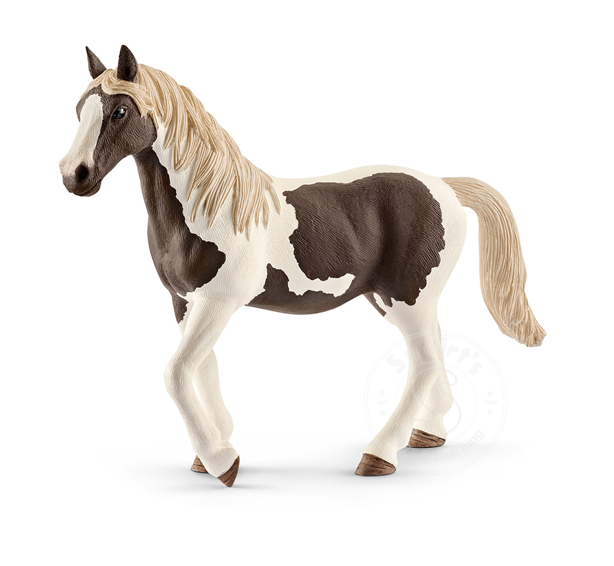 Schleich Pinto Mare - Retired