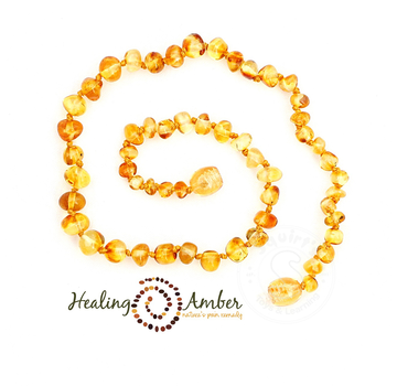 Healing Amber Healing Amber 11” Necklace Circle