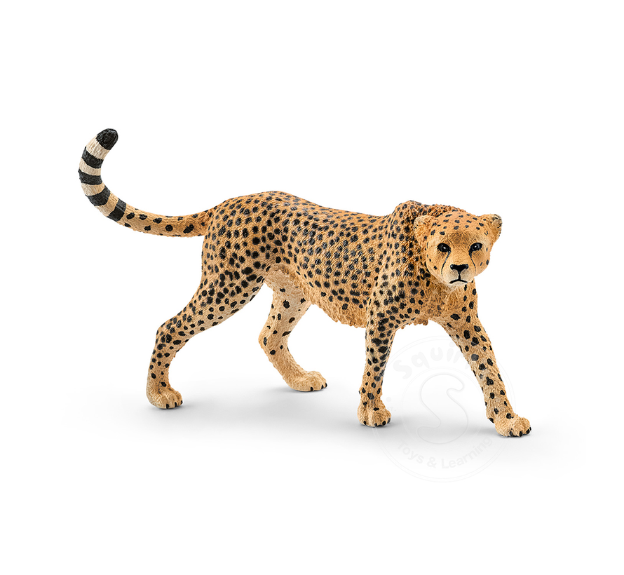 Schleich Cheetah, female