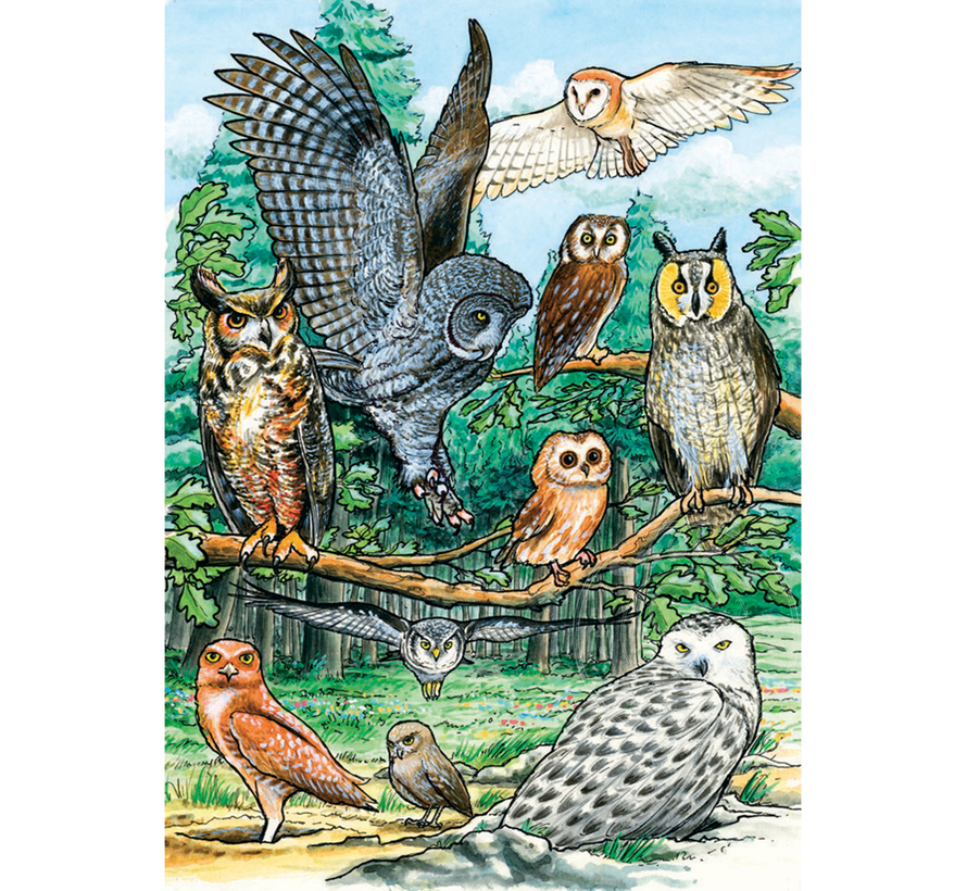 Cobble Hill North American Owls Tray Puzzle 35pcs