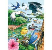 Cobble Hill Puzzles Cobble Hill North American Birds Tray Puzzle 35pcs