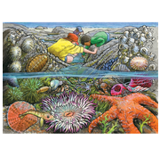 Cobble Hill Puzzles Cobble Hill Exploring the Seashore Tray Puzzle 35pcs