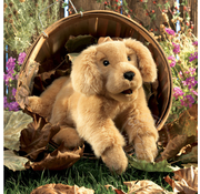 Folkmanis Folkmanis Golden Retriever Puppy Puppet