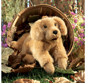 Folkmanis Folkmanis Golden Retriever Puppy Puppet