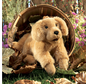 Folkmanis Golden Retriever Puppy Puppet