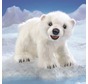 Folkmanis Polar Bear Cub Puppet